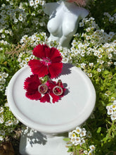 Load image into Gallery viewer, Studded Smiley Earrings