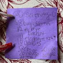 Load image into Gallery viewer, @0.serenity.0