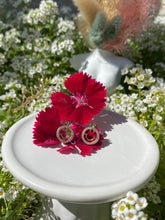 Load image into Gallery viewer, Studded Smiley Earrings